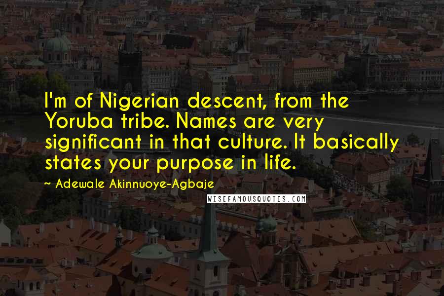 Adewale Akinnuoye-Agbaje Quotes: I'm of Nigerian descent, from the Yoruba tribe. Names are very significant in that culture. It basically states your purpose in life.