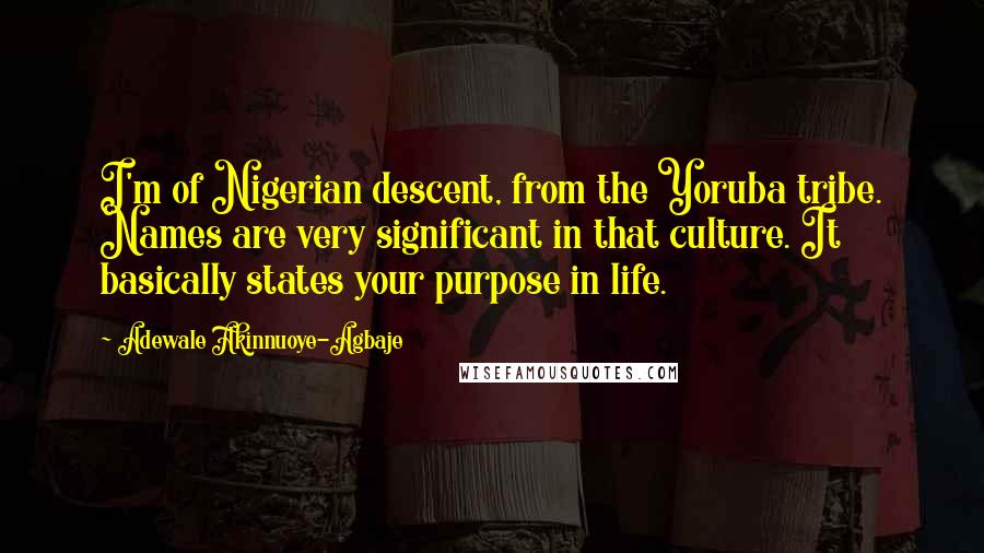 Adewale Akinnuoye-Agbaje Quotes: I'm of Nigerian descent, from the Yoruba tribe. Names are very significant in that culture. It basically states your purpose in life.