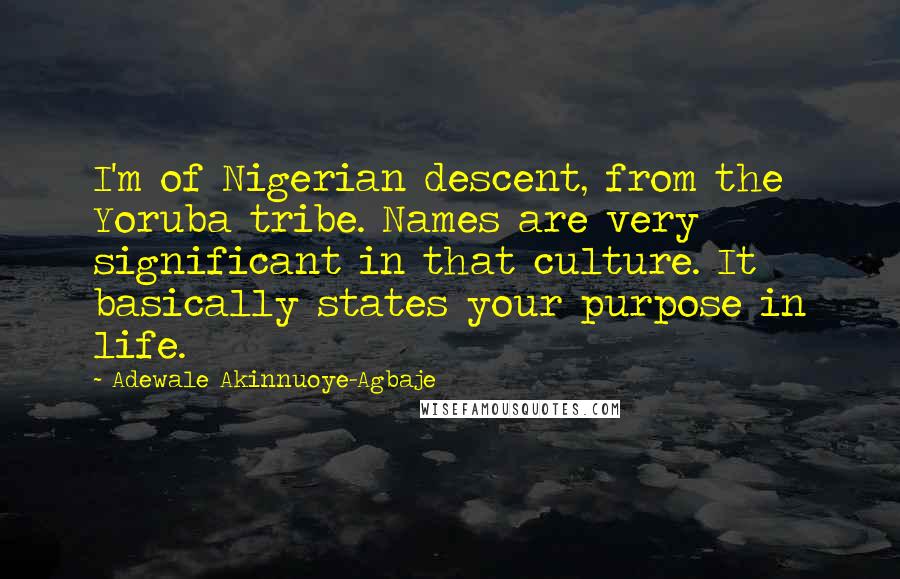 Adewale Akinnuoye-Agbaje Quotes: I'm of Nigerian descent, from the Yoruba tribe. Names are very significant in that culture. It basically states your purpose in life.