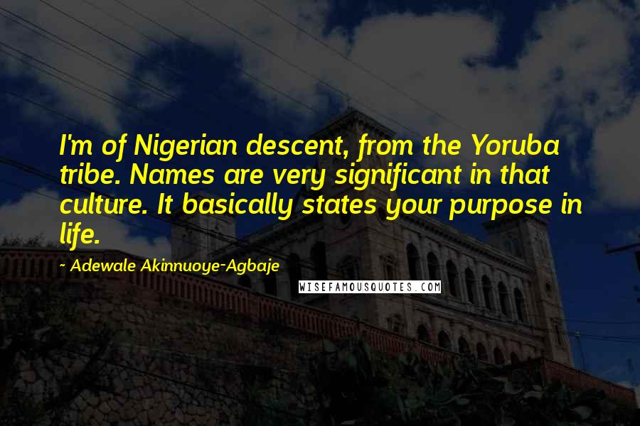 Adewale Akinnuoye-Agbaje Quotes: I'm of Nigerian descent, from the Yoruba tribe. Names are very significant in that culture. It basically states your purpose in life.