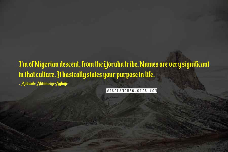 Adewale Akinnuoye-Agbaje Quotes: I'm of Nigerian descent, from the Yoruba tribe. Names are very significant in that culture. It basically states your purpose in life.