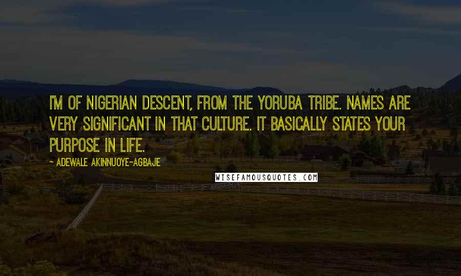 Adewale Akinnuoye-Agbaje Quotes: I'm of Nigerian descent, from the Yoruba tribe. Names are very significant in that culture. It basically states your purpose in life.