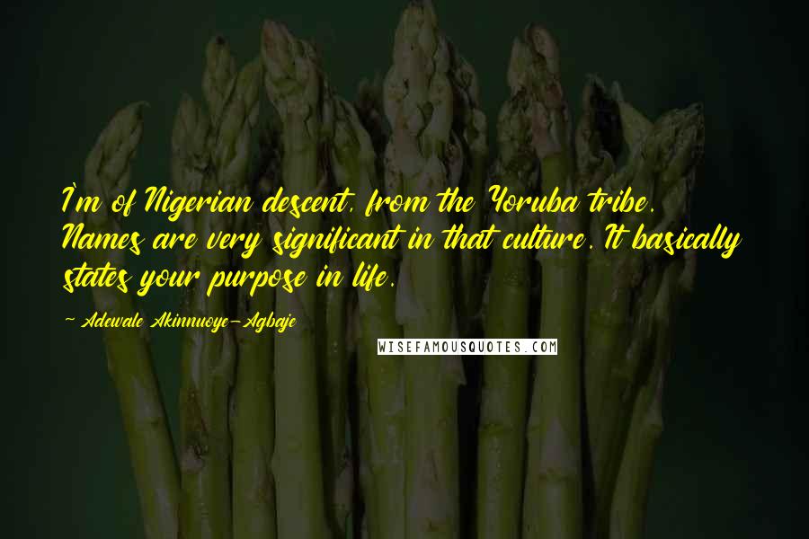 Adewale Akinnuoye-Agbaje Quotes: I'm of Nigerian descent, from the Yoruba tribe. Names are very significant in that culture. It basically states your purpose in life.