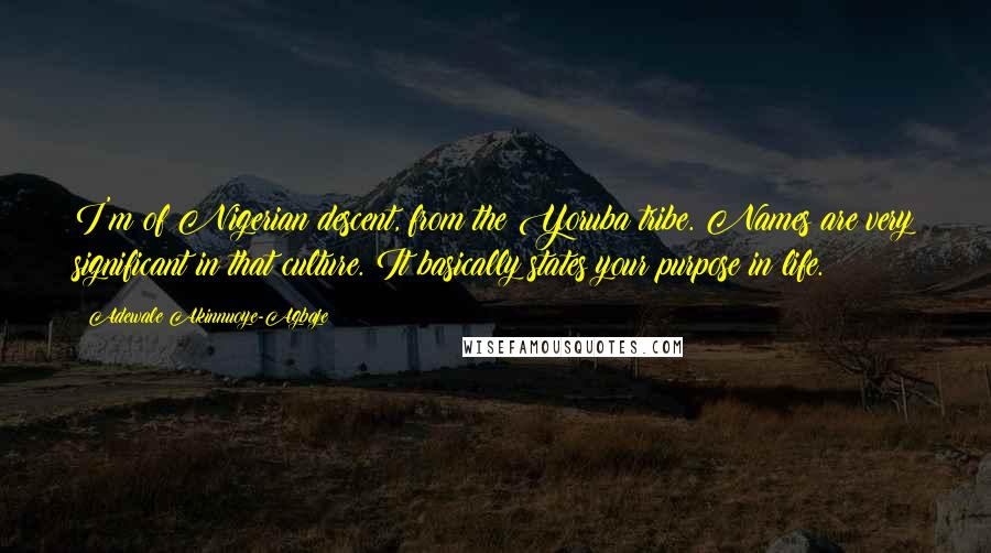 Adewale Akinnuoye-Agbaje Quotes: I'm of Nigerian descent, from the Yoruba tribe. Names are very significant in that culture. It basically states your purpose in life.