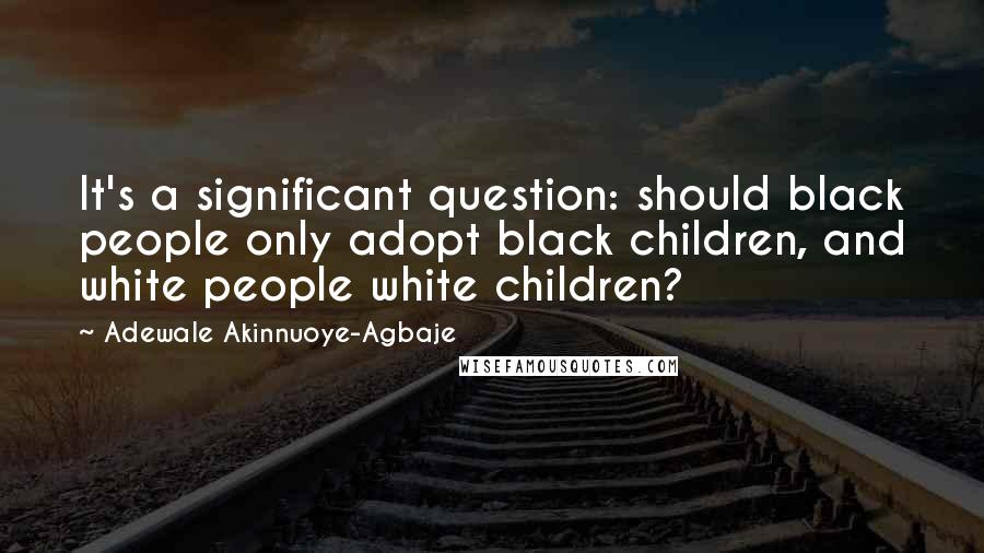 Adewale Akinnuoye-Agbaje Quotes: It's a significant question: should black people only adopt black children, and white people white children?