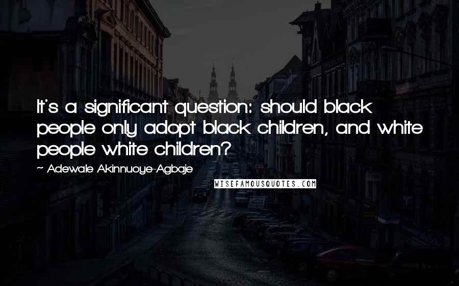 Adewale Akinnuoye-Agbaje Quotes: It's a significant question: should black people only adopt black children, and white people white children?