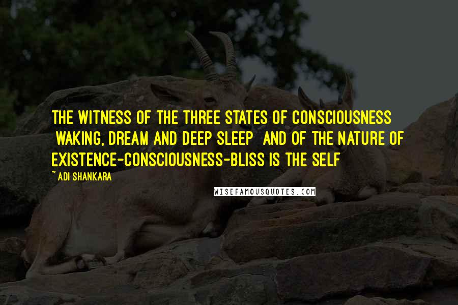Adi Shankara Quotes: The witness of the three states of consciousness [waking, dream and deep sleep] and of the nature of Existence-Consciousness-Bliss is the Self