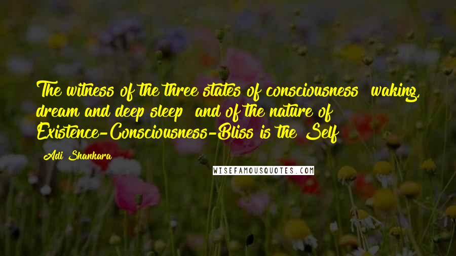 Adi Shankara Quotes: The witness of the three states of consciousness [waking, dream and deep sleep] and of the nature of Existence-Consciousness-Bliss is the Self