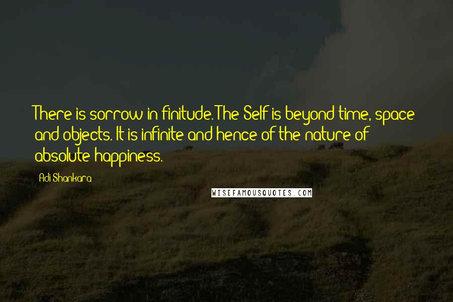 Adi Shankara Quotes: There is sorrow in finitude. The Self is beyond time, space and objects. It is infinite and hence of the nature of absolute happiness.