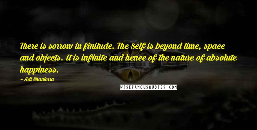 Adi Shankara Quotes: There is sorrow in finitude. The Self is beyond time, space and objects. It is infinite and hence of the nature of absolute happiness.