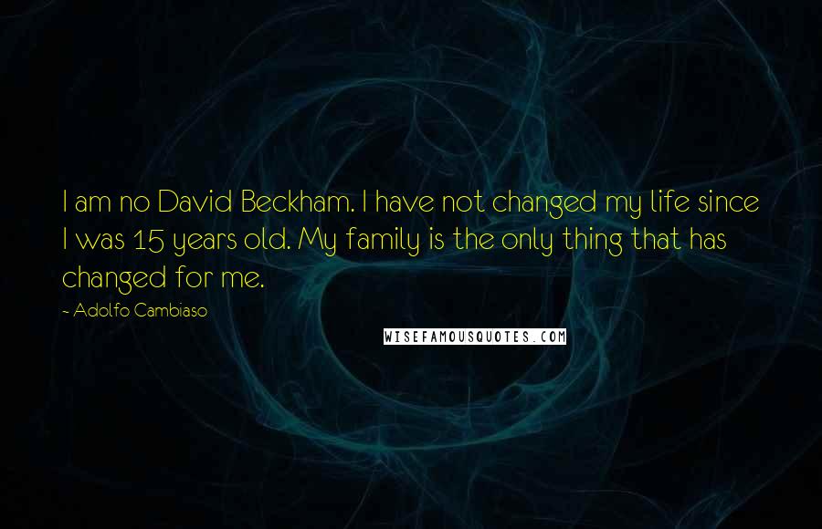 Adolfo Cambiaso Quotes: I am no David Beckham. I have not changed my life since I was 15 years old. My family is the only thing that has changed for me.