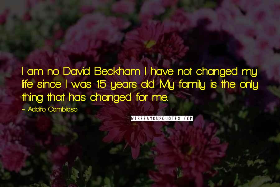 Adolfo Cambiaso Quotes: I am no David Beckham. I have not changed my life since I was 15 years old. My family is the only thing that has changed for me.