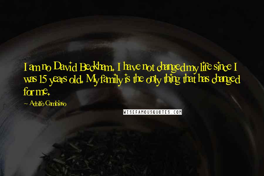 Adolfo Cambiaso Quotes: I am no David Beckham. I have not changed my life since I was 15 years old. My family is the only thing that has changed for me.