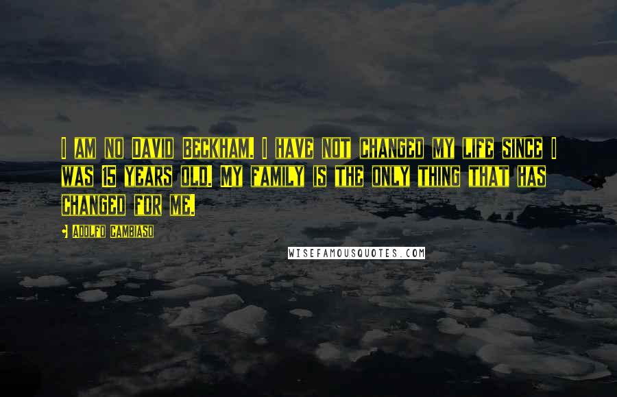 Adolfo Cambiaso Quotes: I am no David Beckham. I have not changed my life since I was 15 years old. My family is the only thing that has changed for me.
