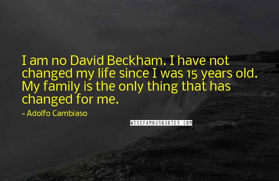 Adolfo Cambiaso Quotes: I am no David Beckham. I have not changed my life since I was 15 years old. My family is the only thing that has changed for me.