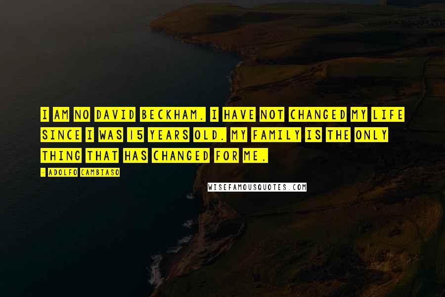 Adolfo Cambiaso Quotes: I am no David Beckham. I have not changed my life since I was 15 years old. My family is the only thing that has changed for me.