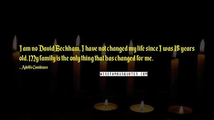 Adolfo Cambiaso Quotes: I am no David Beckham. I have not changed my life since I was 15 years old. My family is the only thing that has changed for me.