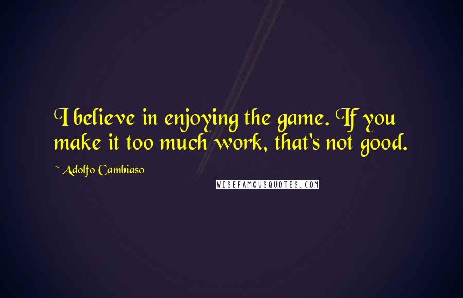 Adolfo Cambiaso Quotes: I believe in enjoying the game. If you make it too much work, that's not good.