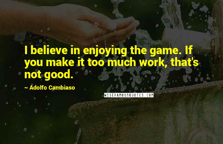 Adolfo Cambiaso Quotes: I believe in enjoying the game. If you make it too much work, that's not good.