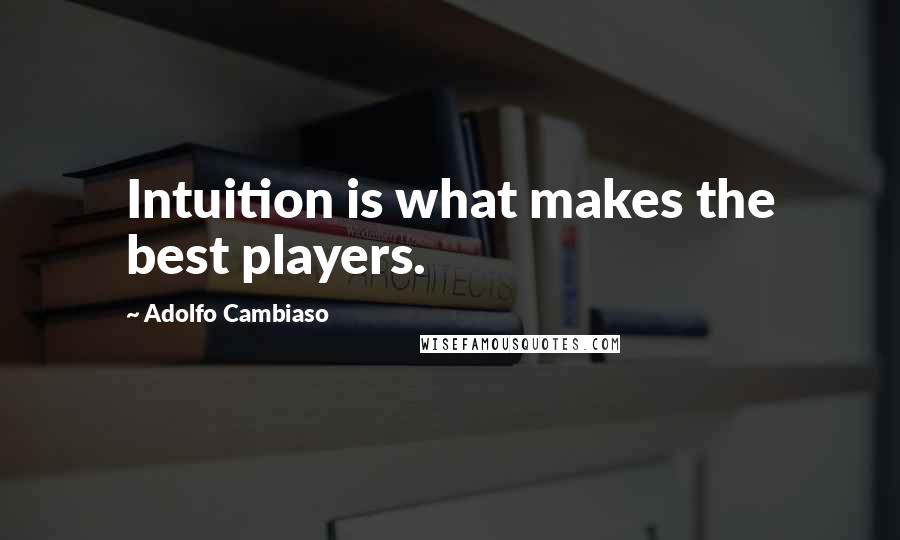 Adolfo Cambiaso Quotes: Intuition is what makes the best players.