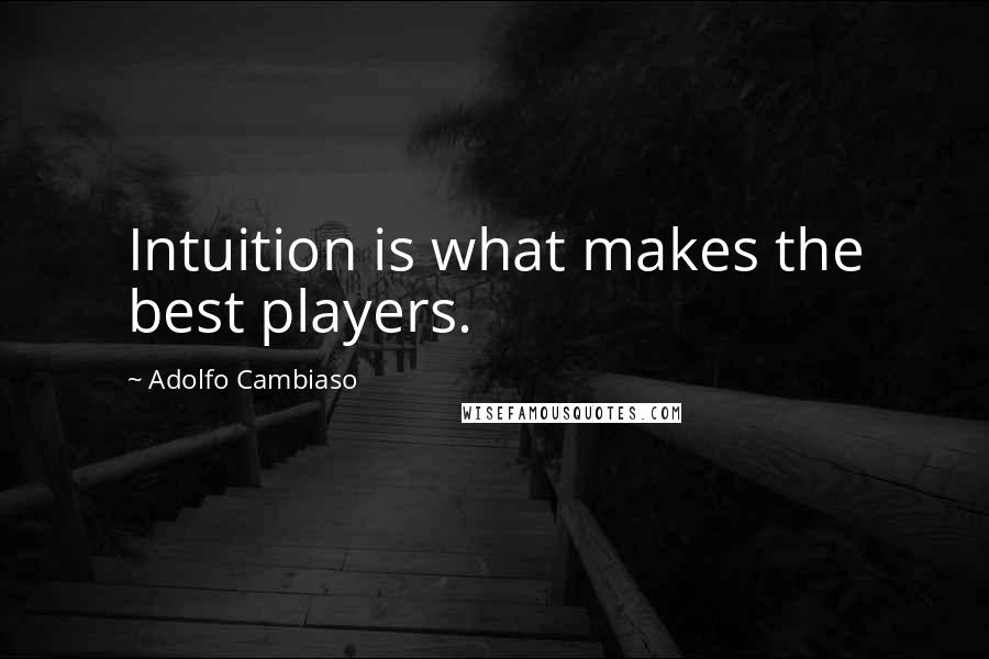 Adolfo Cambiaso Quotes: Intuition is what makes the best players.