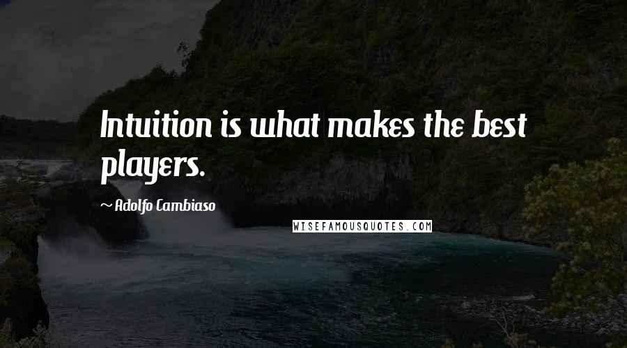 Adolfo Cambiaso Quotes: Intuition is what makes the best players.