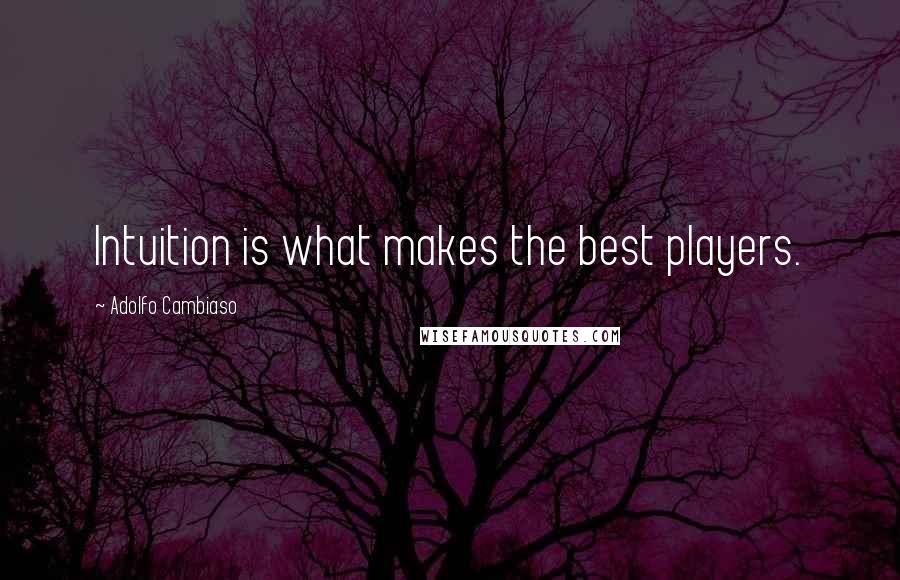 Adolfo Cambiaso Quotes: Intuition is what makes the best players.