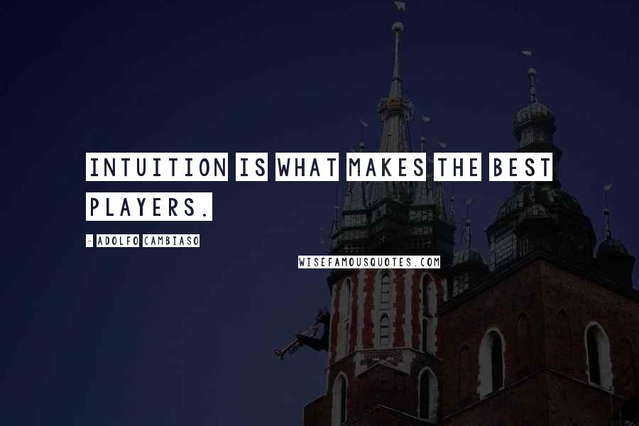 Adolfo Cambiaso Quotes: Intuition is what makes the best players.