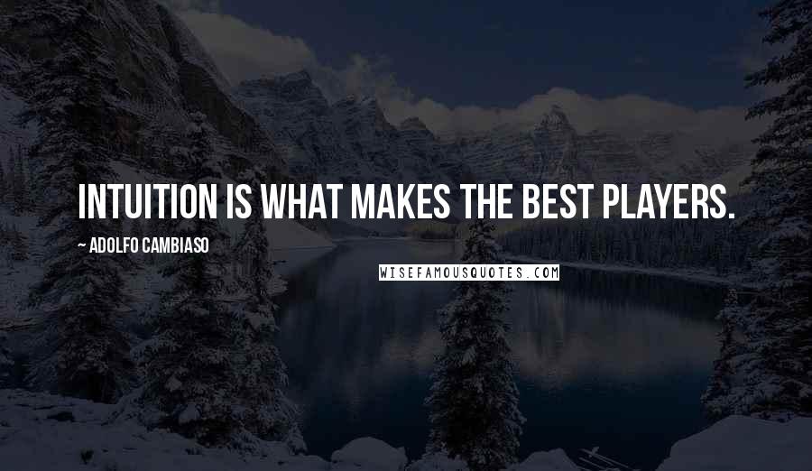 Adolfo Cambiaso Quotes: Intuition is what makes the best players.
