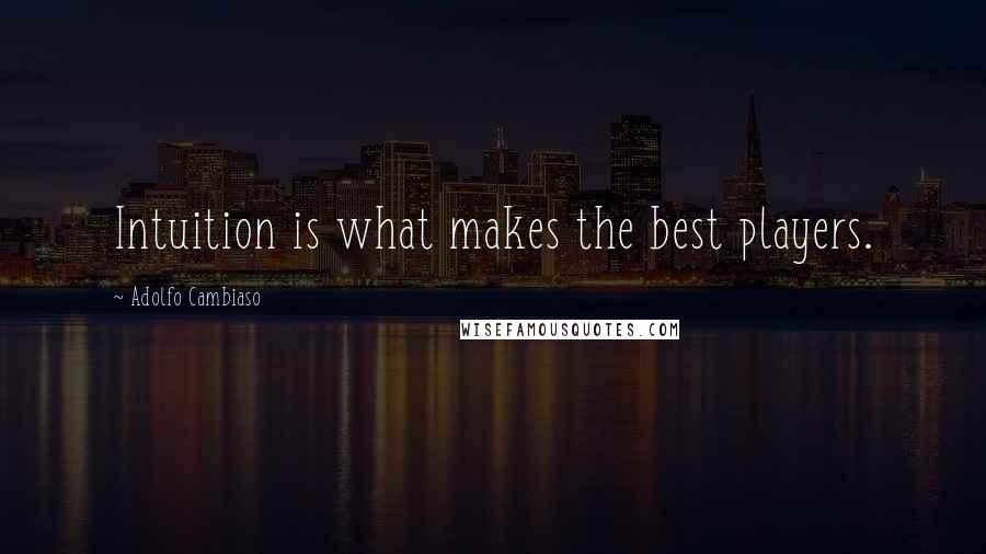 Adolfo Cambiaso Quotes: Intuition is what makes the best players.