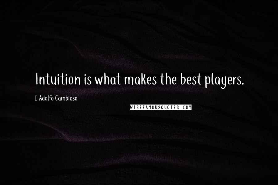 Adolfo Cambiaso Quotes: Intuition is what makes the best players.
