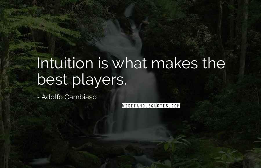 Adolfo Cambiaso Quotes: Intuition is what makes the best players.