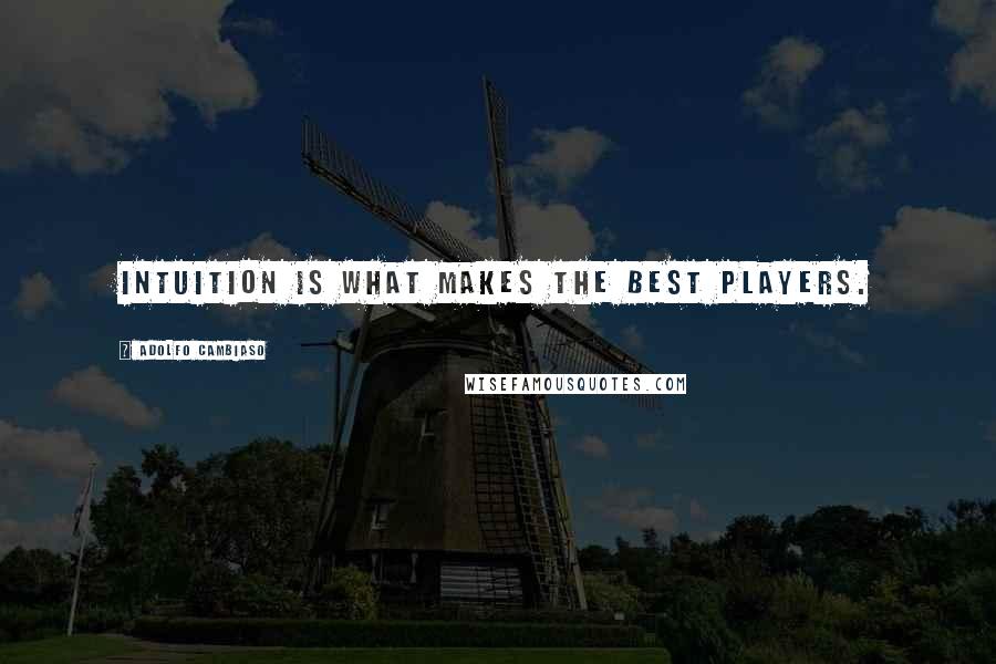 Adolfo Cambiaso Quotes: Intuition is what makes the best players.
