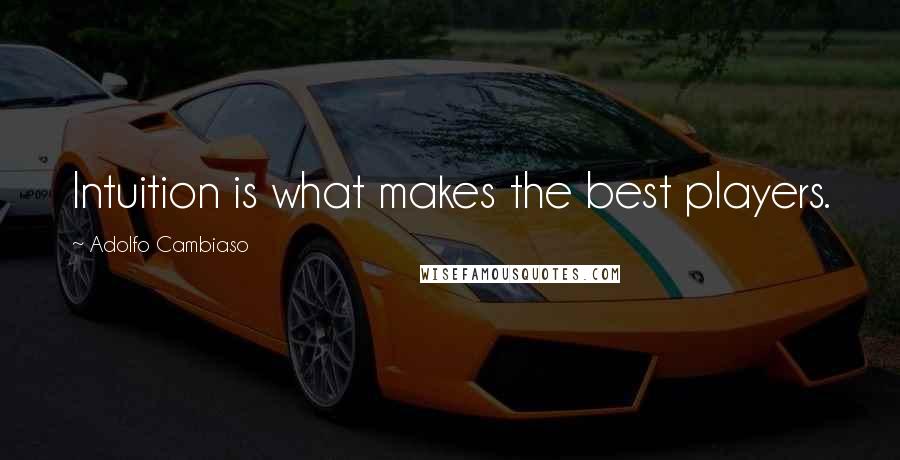 Adolfo Cambiaso Quotes: Intuition is what makes the best players.