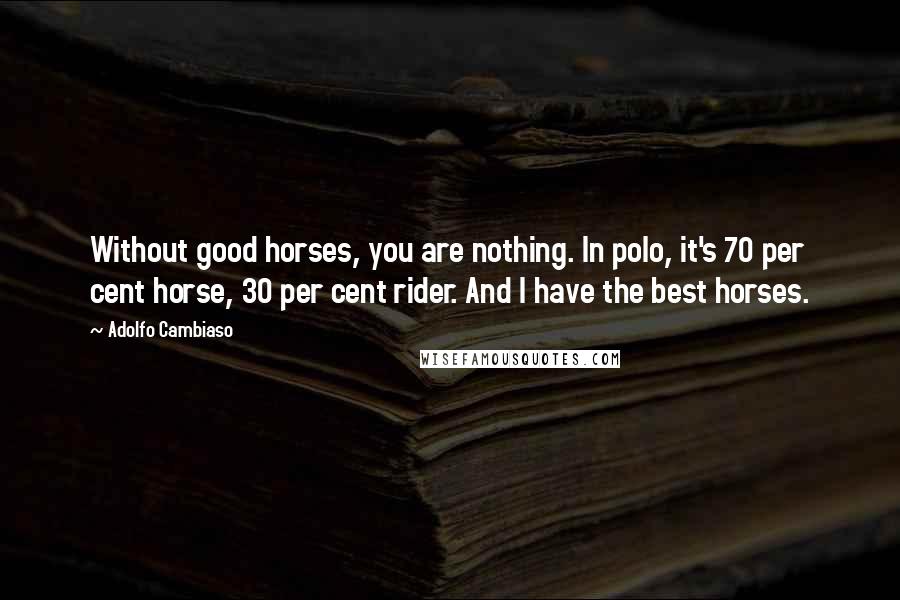 Adolfo Cambiaso Quotes: Without good horses, you are nothing. In polo, it's 70 per cent horse, 30 per cent rider. And I have the best horses.