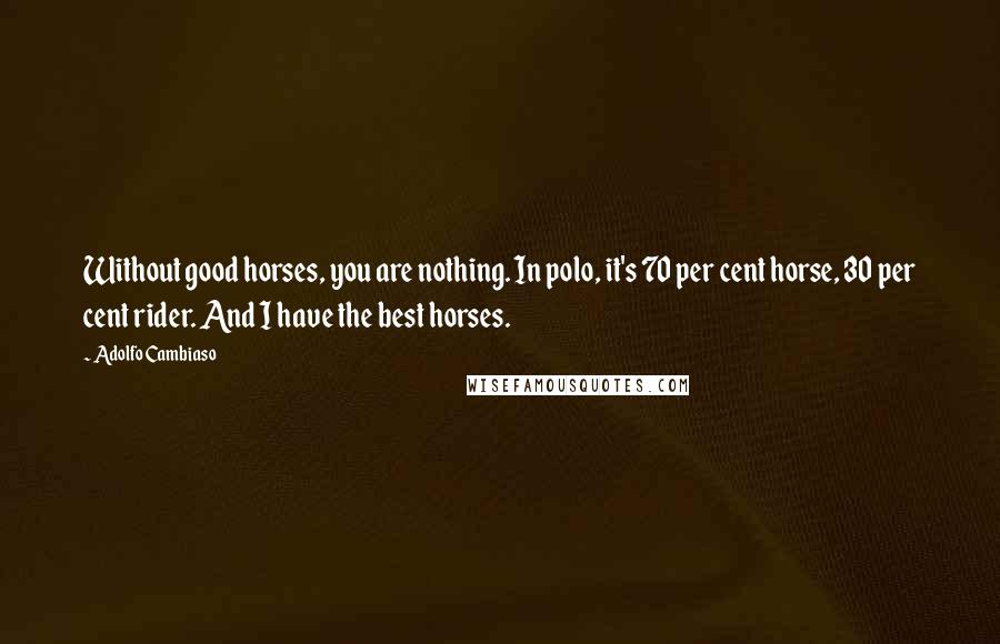 Adolfo Cambiaso Quotes: Without good horses, you are nothing. In polo, it's 70 per cent horse, 30 per cent rider. And I have the best horses.