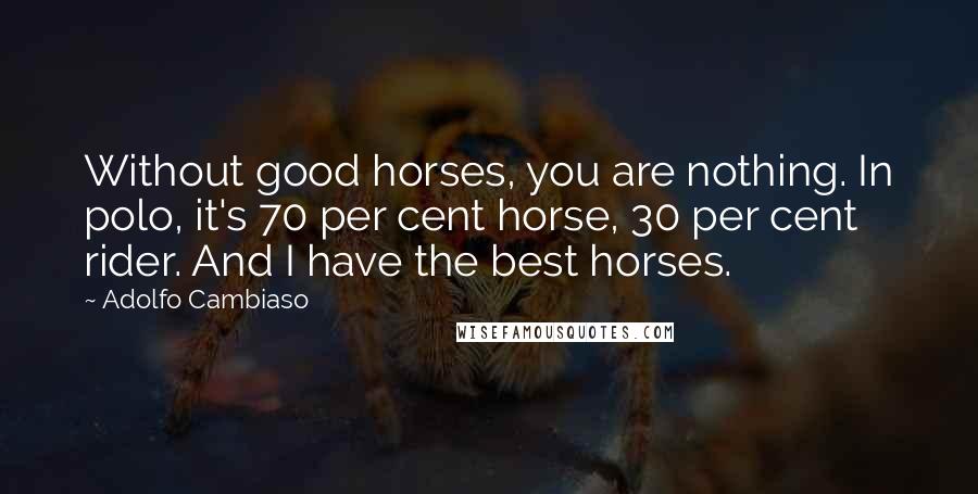 Adolfo Cambiaso Quotes: Without good horses, you are nothing. In polo, it's 70 per cent horse, 30 per cent rider. And I have the best horses.