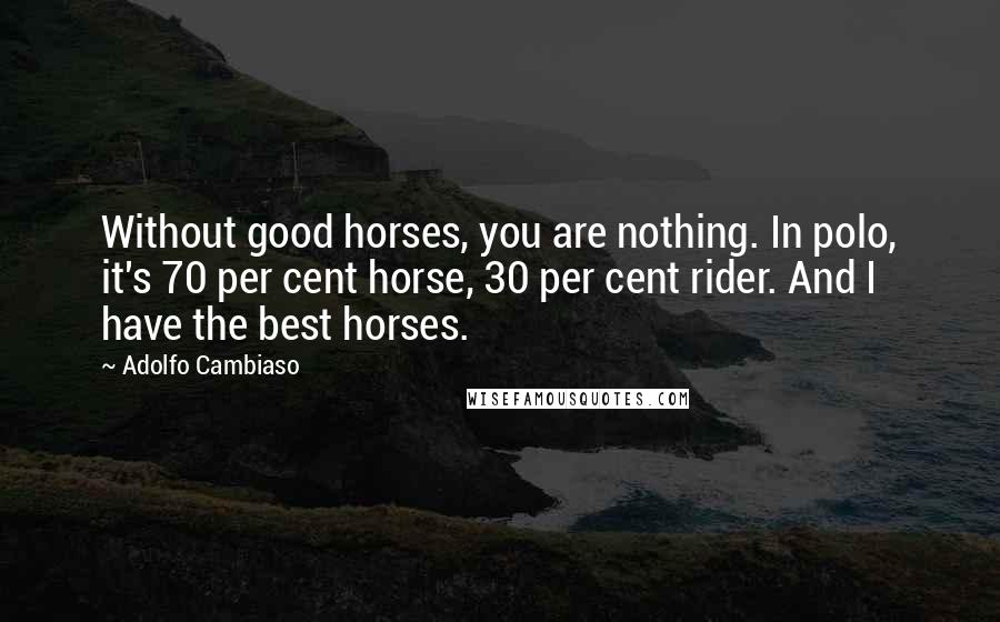 Adolfo Cambiaso Quotes: Without good horses, you are nothing. In polo, it's 70 per cent horse, 30 per cent rider. And I have the best horses.