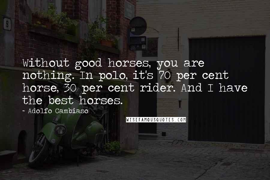 Adolfo Cambiaso Quotes: Without good horses, you are nothing. In polo, it's 70 per cent horse, 30 per cent rider. And I have the best horses.