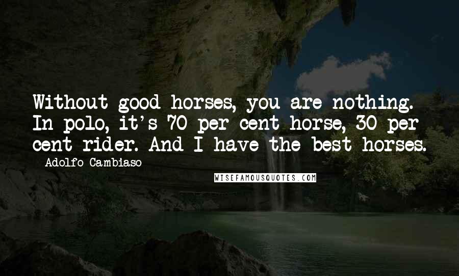 Adolfo Cambiaso Quotes: Without good horses, you are nothing. In polo, it's 70 per cent horse, 30 per cent rider. And I have the best horses.