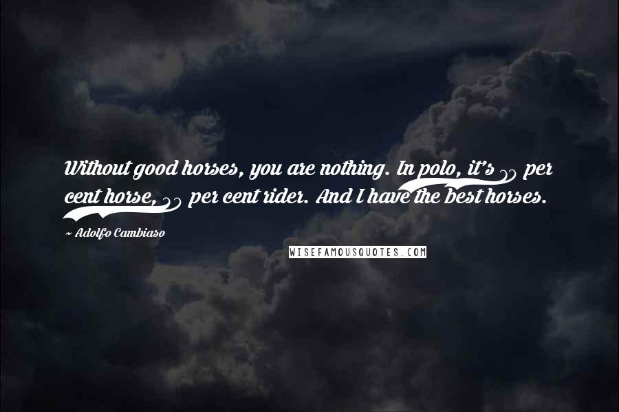 Adolfo Cambiaso Quotes: Without good horses, you are nothing. In polo, it's 70 per cent horse, 30 per cent rider. And I have the best horses.