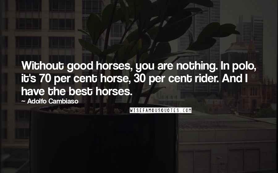 Adolfo Cambiaso Quotes: Without good horses, you are nothing. In polo, it's 70 per cent horse, 30 per cent rider. And I have the best horses.