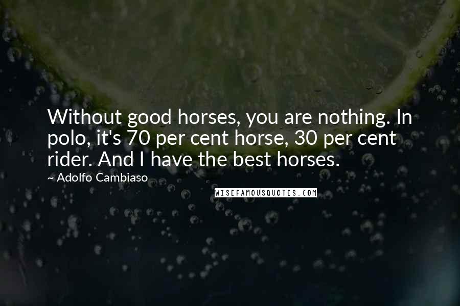 Adolfo Cambiaso Quotes: Without good horses, you are nothing. In polo, it's 70 per cent horse, 30 per cent rider. And I have the best horses.