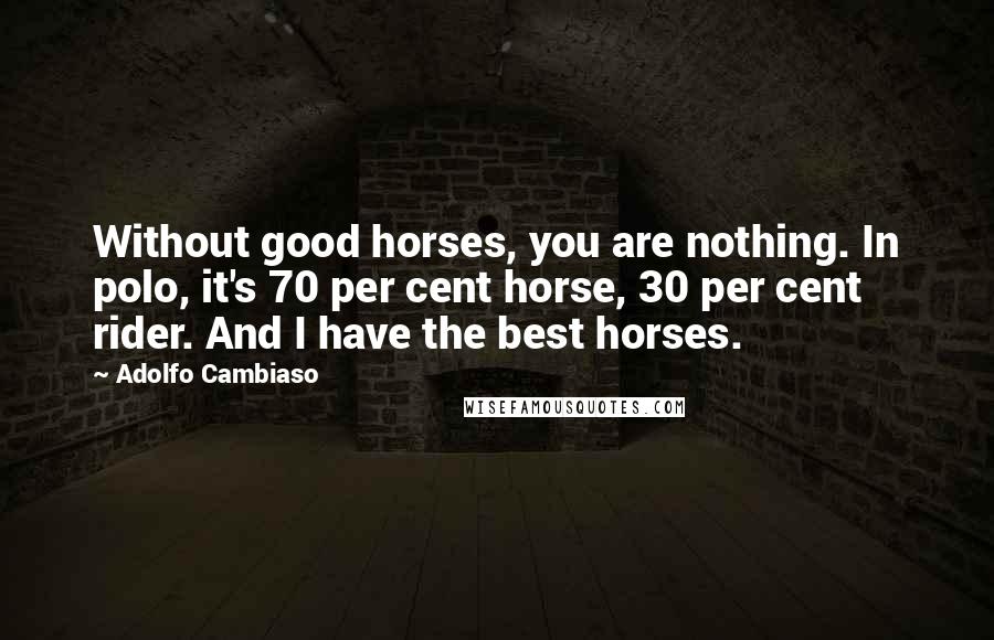 Adolfo Cambiaso Quotes: Without good horses, you are nothing. In polo, it's 70 per cent horse, 30 per cent rider. And I have the best horses.