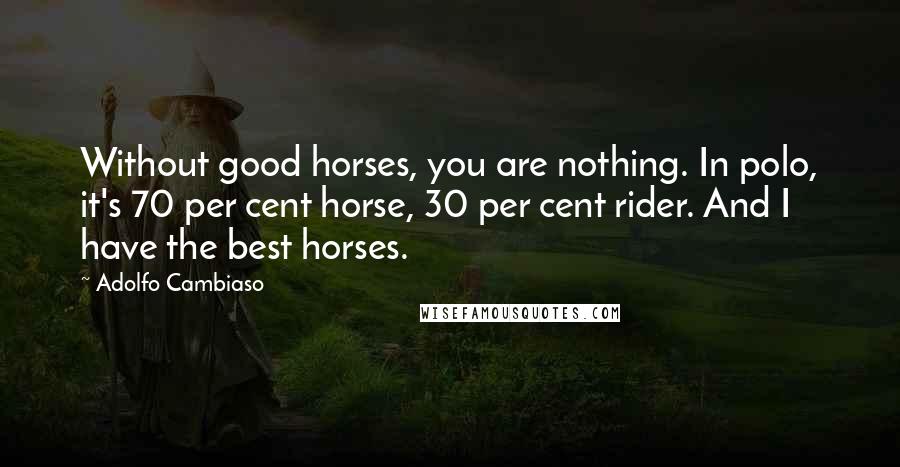Adolfo Cambiaso Quotes: Without good horses, you are nothing. In polo, it's 70 per cent horse, 30 per cent rider. And I have the best horses.