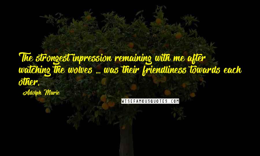 Adolph Murie Quotes: The strongest inpression remaining with me after watching the wolves ... was their friendliness towards each other.