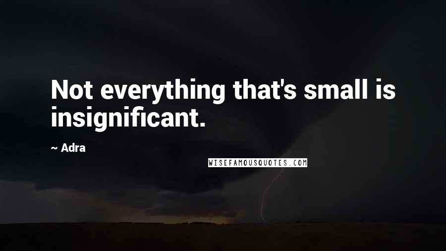 Adra Quotes: Not everything that's small is insignificant.