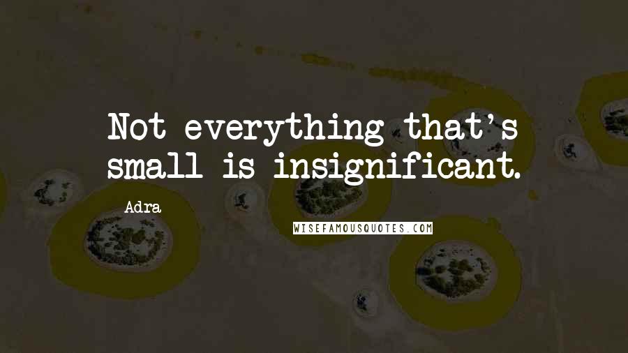 Adra Quotes: Not everything that's small is insignificant.