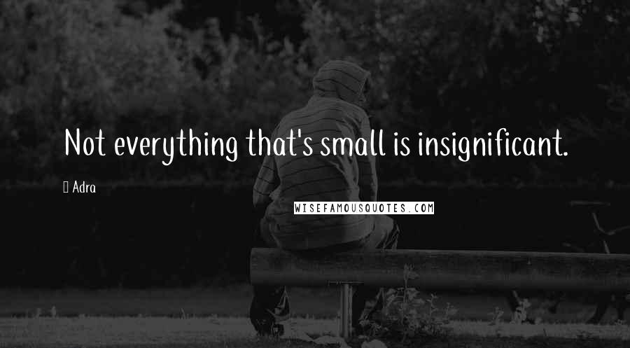 Adra Quotes: Not everything that's small is insignificant.