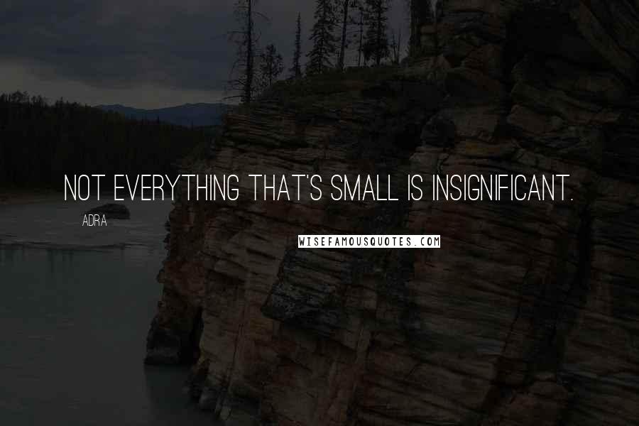 Adra Quotes: Not everything that's small is insignificant.